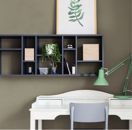 Scheda colora grigio Nuance